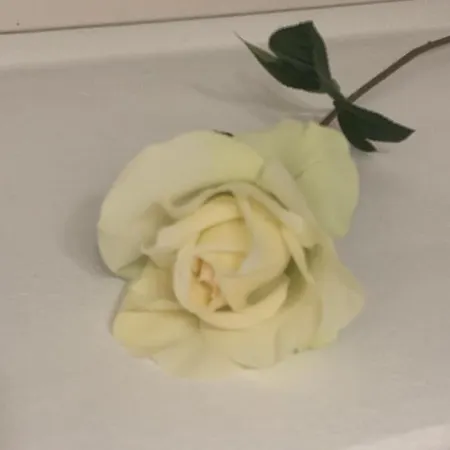 San Giusto Appartement *